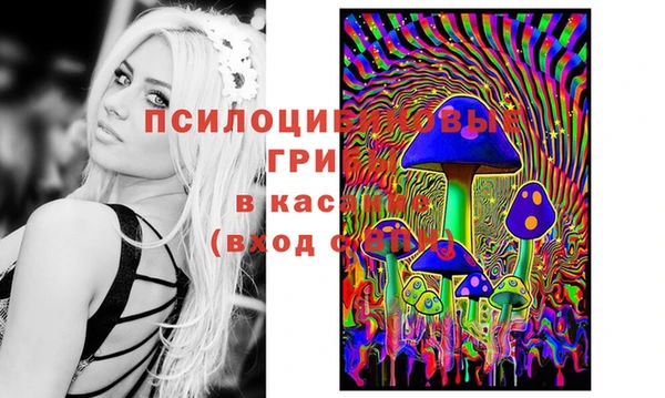 Альфа ПВП Остров