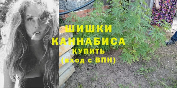 мет Болотное