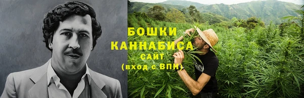 мет Осинники