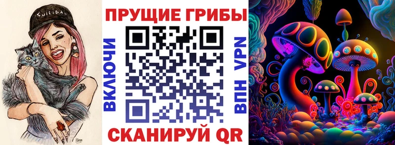 MEGA онион  Уржум  Псилоцибиновые грибы Cubensis 